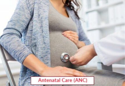 Antenatal Care (ANC)