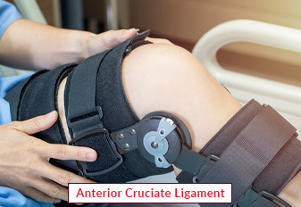 Anterior Cruciate Ligament (ACL)