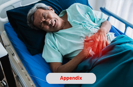 Appendix