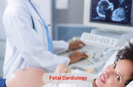 Fetal Cardiology