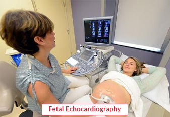 Fetal Echocardiography