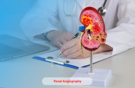 Renal Angiography