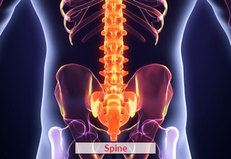 Spine Surgery