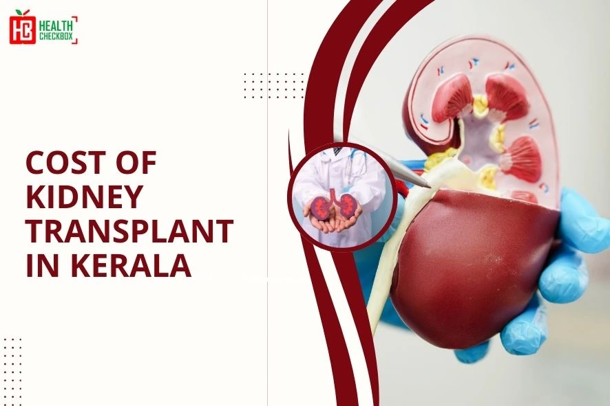 Cost of Kidney Transplant in Kerala blog img