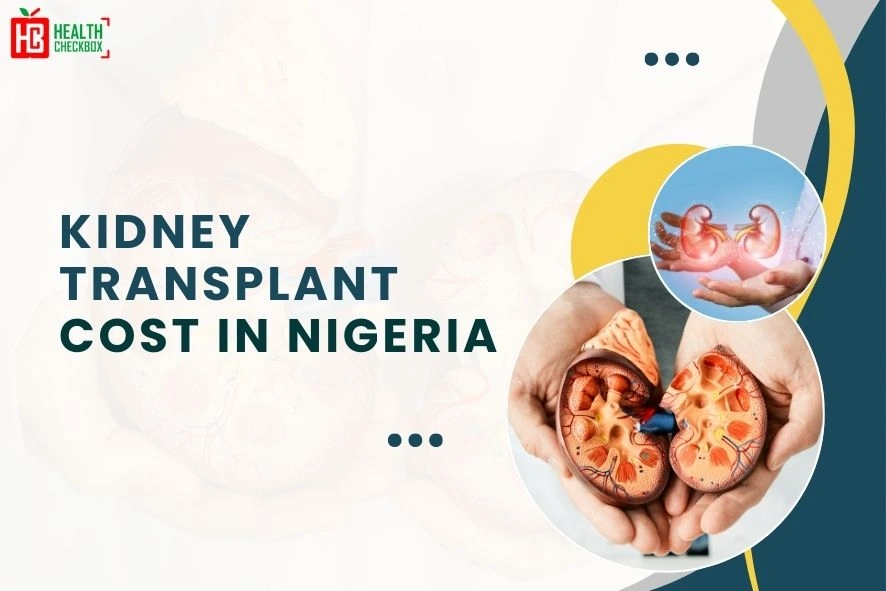kidney transplant cost in nigeria blog img