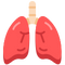 Pulmonology