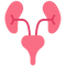 Urology