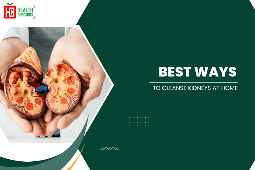 Best Ways to Cleanse Kidneys at Home-blog img