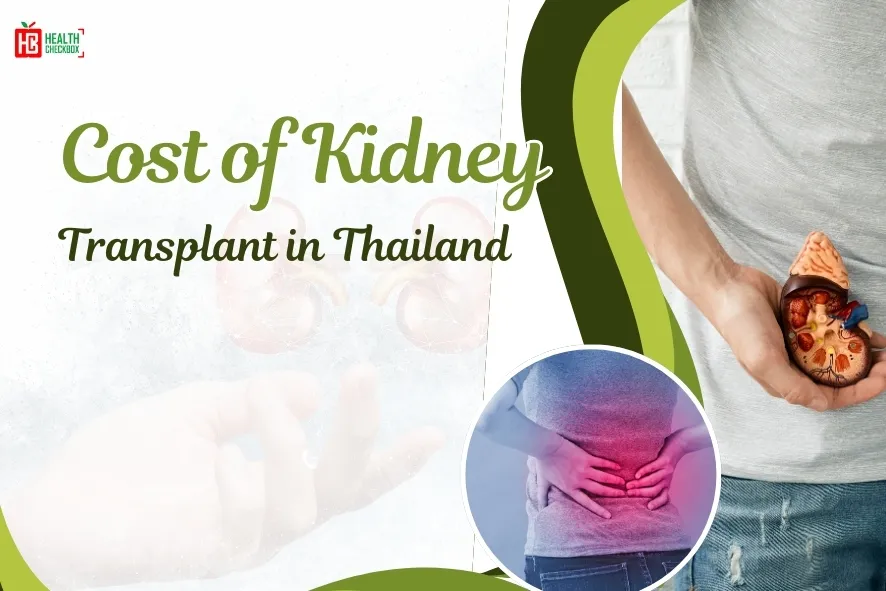Cost of Kidney Transplant in Thailand-blog img