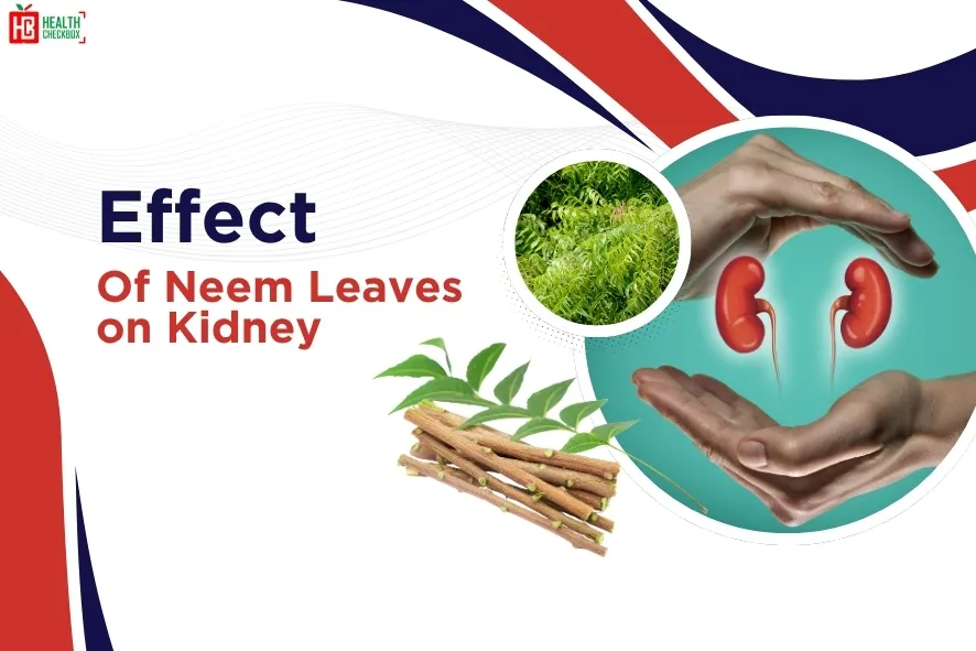 Effect of Neem Leaves on Kidney-blog img