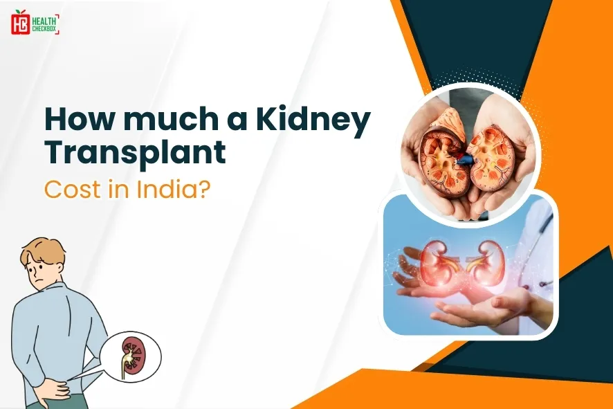 Kidney Transplant Cost in India-blog img