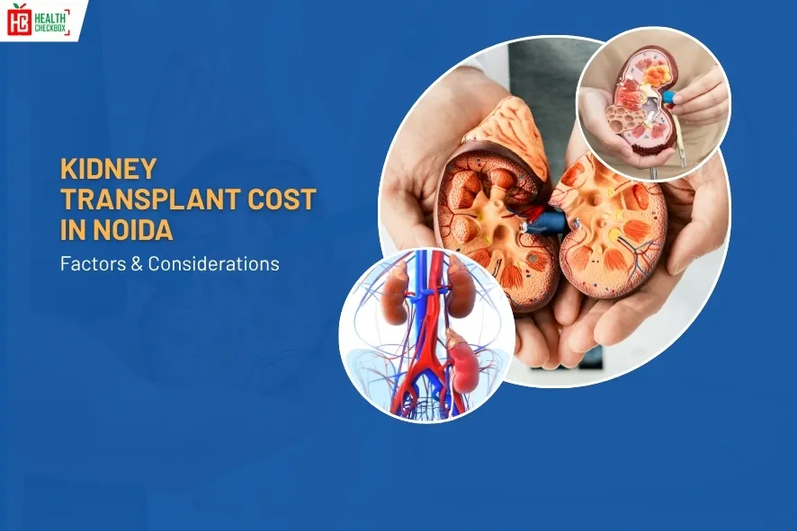 Kidney Transplant Cost in Noida-blog img