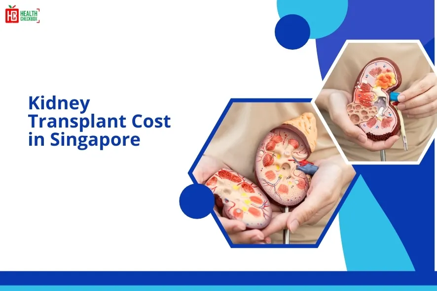 Kidney Transplant Cost in Singapore-blog img
