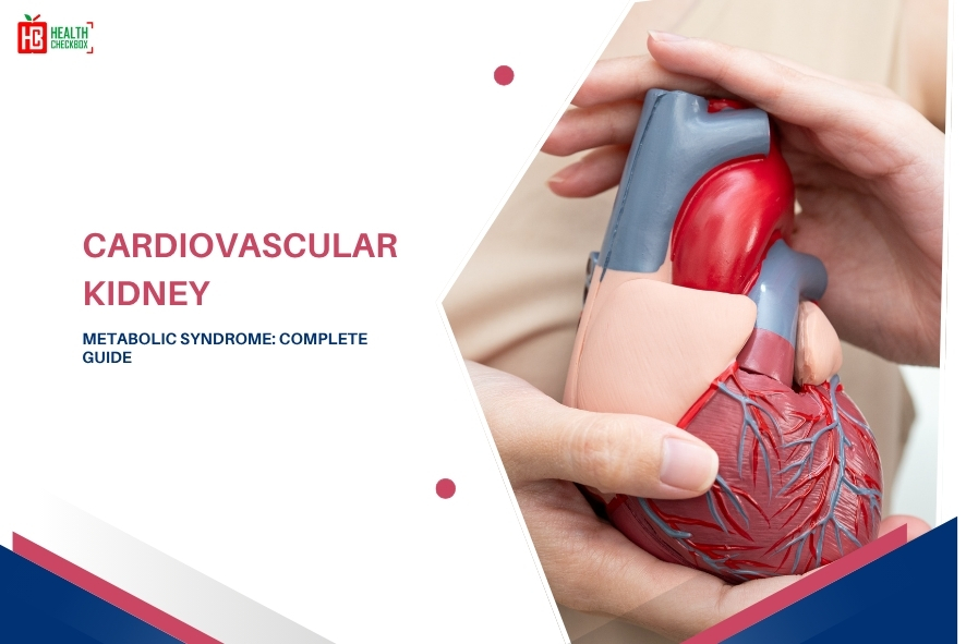 Cardiovascular Kidney Metabolic Syndrome-blog img