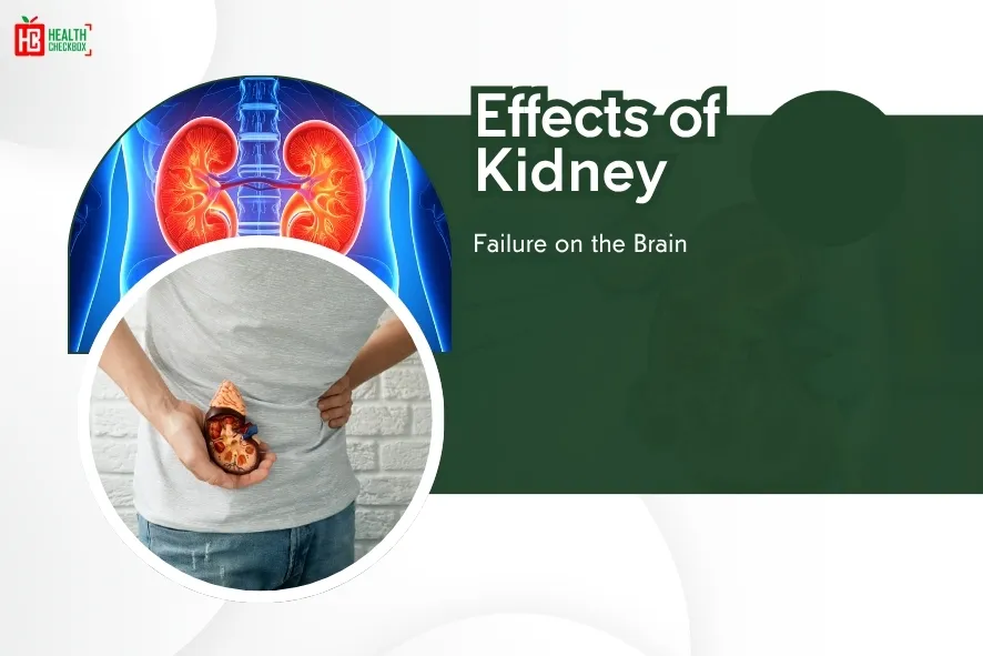 Effects of Kidney Failure on the Brain-blog img