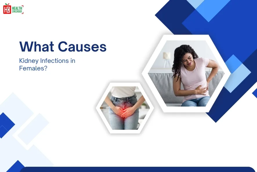 What Causes Kidney Infections in Females-blog img