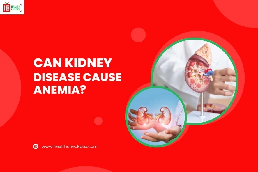 Can Kidney Disease Cause Anemia-blog img