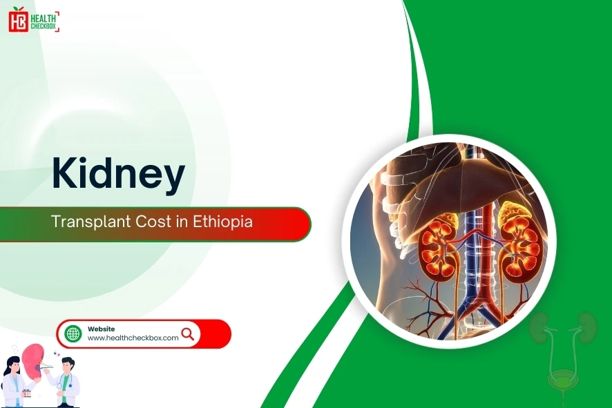 Kidney Transplant Cost in Ethiopia-blog img