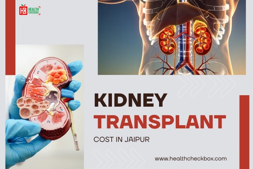 Kidney Transplant Cost in Jaipur-blog img