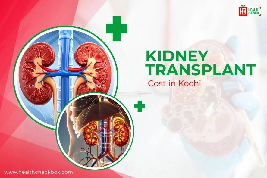 Kidney Transplant Cost in Kochi-blog img