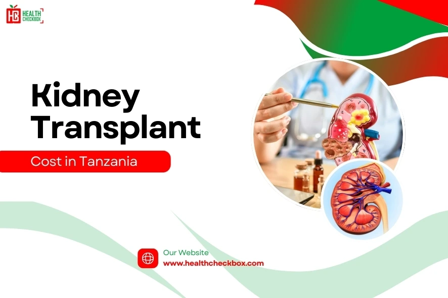 Kidney Transplant Cost in Tanzania-blog img