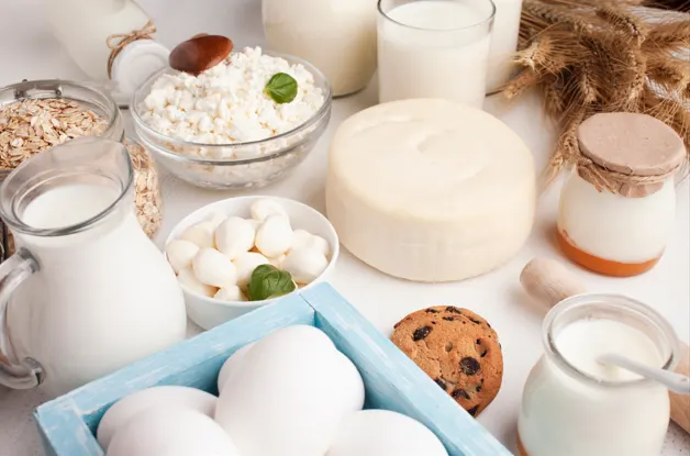 dairy products-food img