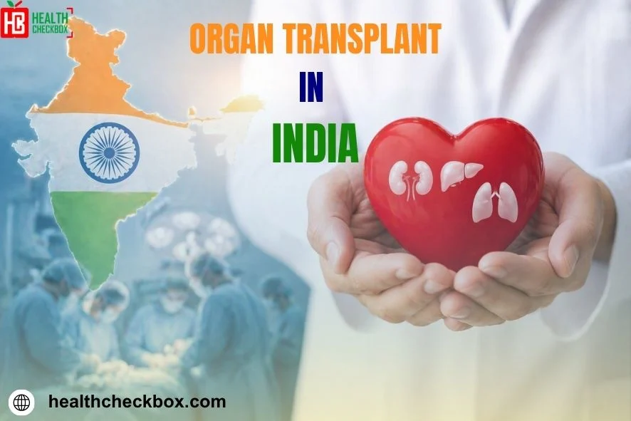 Organ Transplant in India-img