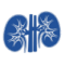 Kidney Transplant-icon-img